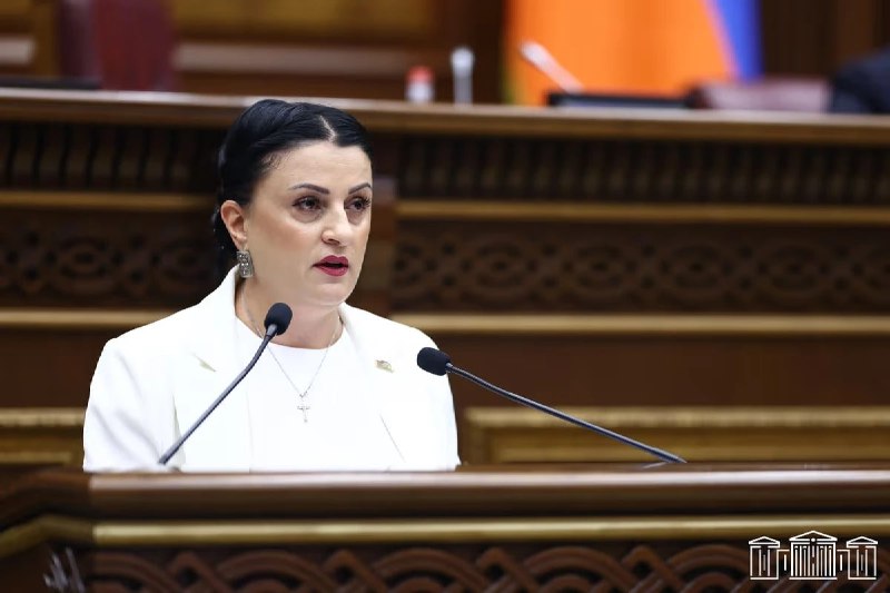 Ирина Йолян не избрана председателем комиссии НС в Апаране