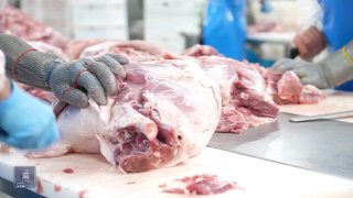 Производство мясных продуктов компанией «Атенк» в Апаране, Арагацотн