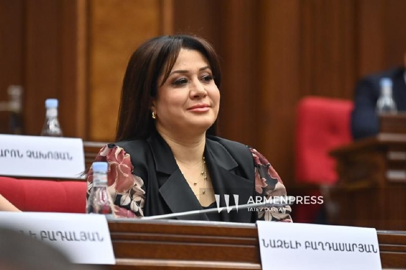Назели Багдасарян претендует на пост главы комиссии по труду в парламенте Армении