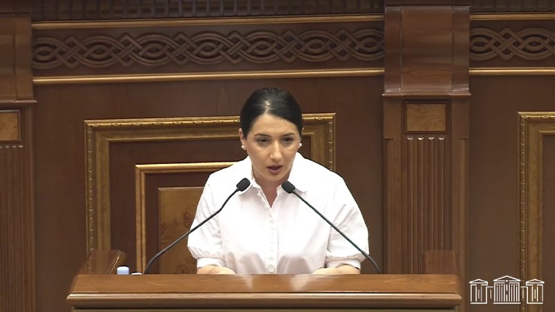 Выборы в Апаране: депутат говорит медленно — в соцсетях заметили необычный темп