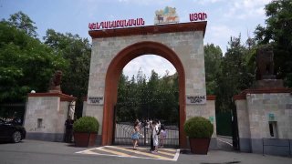 Тигры и львы из особняка Царукяна в карантинной зоне Ереванского зоопарка, Апаран